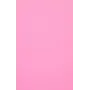Evelatus Universele Color Shinning Film voor Screen Cutter lichtroze (50 vellen)