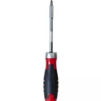 EXERTIS CONNECT 12-delige ratelschroevendraaierset met gangbare bits (815631)
