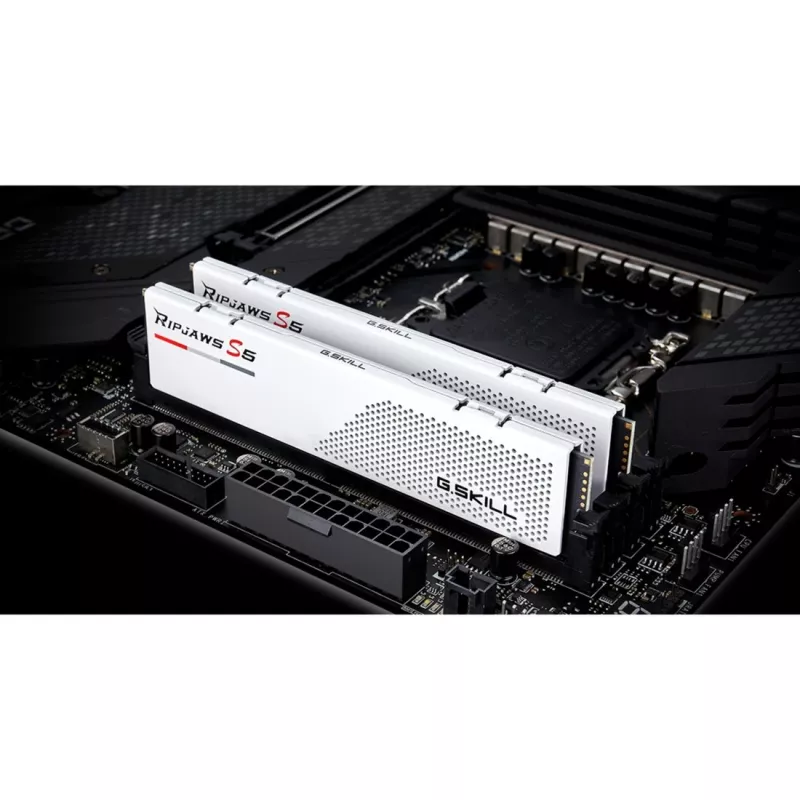 G.Skill Ripjaws S5 64 GB (2x 32 GB) DDR5-5200 CL36 wit desktop-RAM