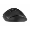 Gembird MUSW3-9B-01 triple-mode draadloze ergonomische muis (2,4 GHz + Bluetooth + USB-C), 2400 DPI, 9 knoppen, zwart