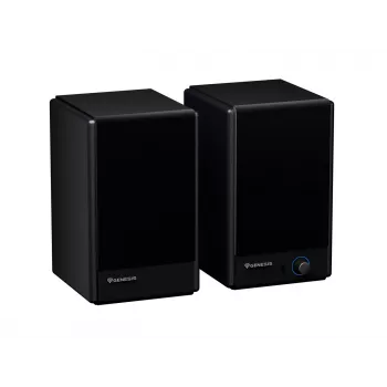 Genesis Arsen 402BT NGS-2415 desktop-luidsprekers, 2.0, 60 W, Bluetooth 5.3, zwart