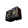 GENESIS ARSEN 402BT 2-weg brons bedraad & draadloos 60 W