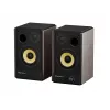 GENESIS ARSEN 402BT 2-weg brons bedraad & draadloos 60 W