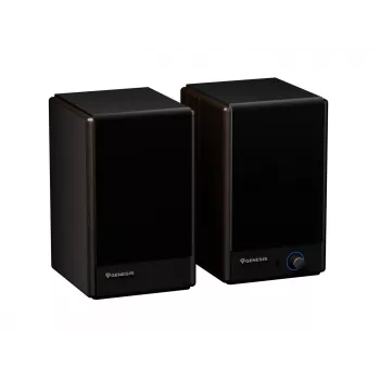GENESIS ARSEN 402BT 2-weg brons bedraad & draadloos 60 W