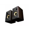 GENESIS ARSEN 502BT 2-weg brons bedraad & draadloos 60 W
