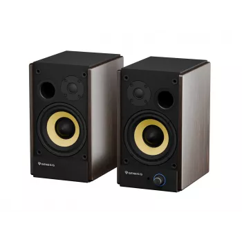 GENESIS ARSEN 502BT 2-weg brons bedraad & draadloos 60 W
