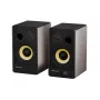 GENESIS ARSEN 502BT 2-weg brons bedraad & draadloos 60 W