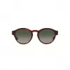 GIORGIO ARMANI dames zonnebril AR8146-596271 Havana acetaat groen verloop 50/15/145 mm