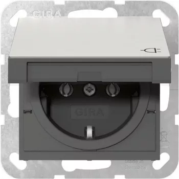 Gira 4454600 SCHUKO-stopcontact met klepdeksel, System 55, RVS