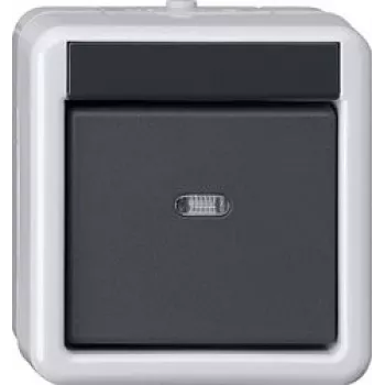 Gira System 55 wipschakelaarafdekking, antraciet mat, licht/uit-symbool, vastklikbaar, thermoplast, halogeenvrij, UV-bestendig 515230