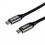 GIZZU 100W 10Gbps USB-C kabel 2m