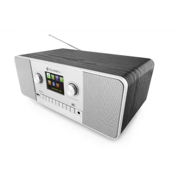 GoGen IR 257 BTDAB internet digitaal zilver