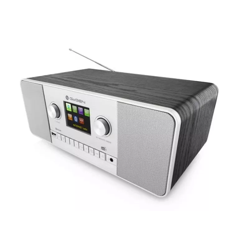 GoGen IR 257 BTDAB internet digitaal zilver