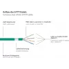 GoodConnections RNS® Cat. 6A S/FTP halogeenvrije patchkabel met trekontlasting, 3 m, groen