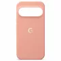 Google Pixel 11 Pro XL hoesje Canyon CGY4 5B05