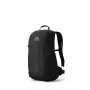 Gregory Arrio 20 Wandrugzak - Shadow Pine Black