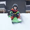 Hamax Sno Zebra Snow Racer groen polyethyleen