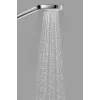 HANSGROHE douchekop 268134 Select 110 3SR Eco