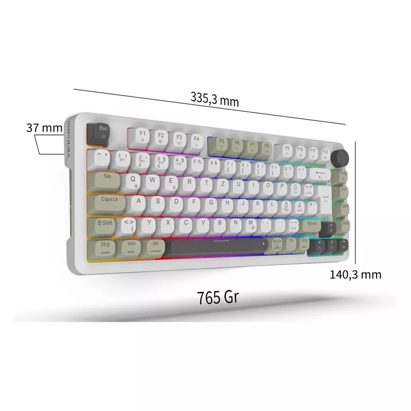 INCA gaming-toetsenbord RGB GraySwitch USB-C/BT 2,00 m wit (IKG-455)