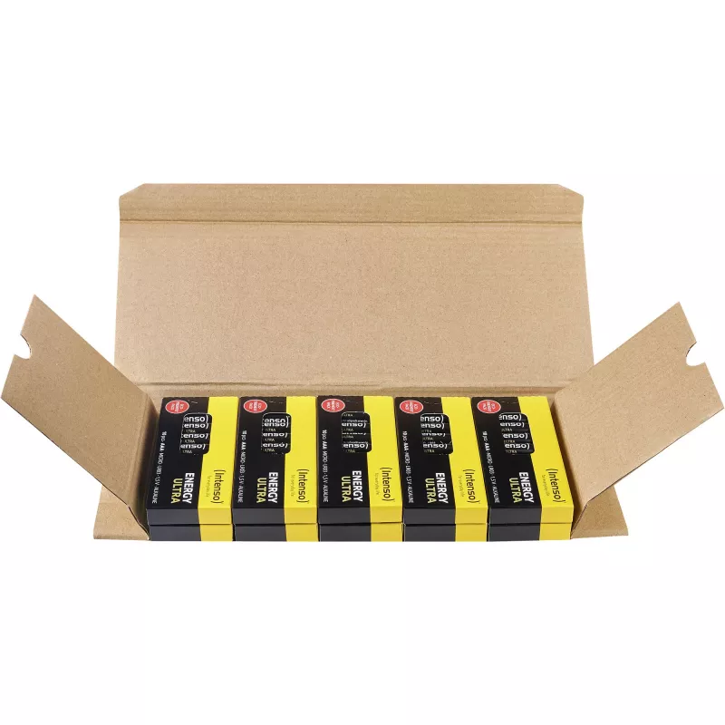 INTENSO Energy Ultra AAA LR03 alkaline batterijen (100-pack)