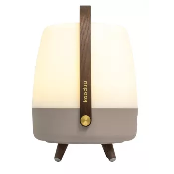 KOODUU Koody Lite-up Play 2.0 Earth LED draagbare lamp met ingebouwde JBL-luidspreker