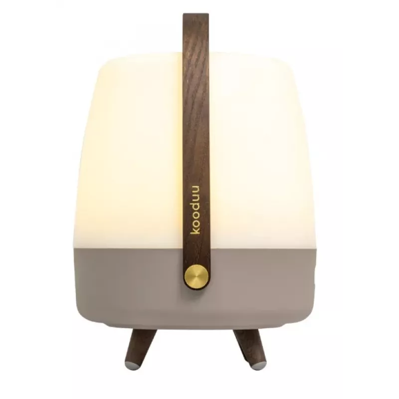 KOODUU Koody Lite-up Play 2.0 Earth LED draagbare lamp met ingebouwde JBL-luidspreker
