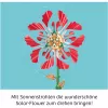 Kosmos Solar-Flower wetenschappelijk experimenteerpakket