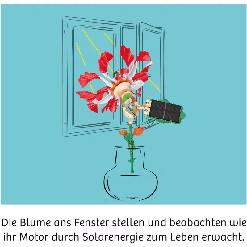 Kosmos Solar-Flower wetenschappelijk experimenteerpakket