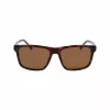 Lacoste herenzonnebril L6025S-219 Havana groen 56mm