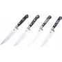 Laguiole steakmessen set 4-delig met harsgreep