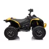 LEAN CARS DK-CA002 12V 10Ah 4x4 gele accuquad