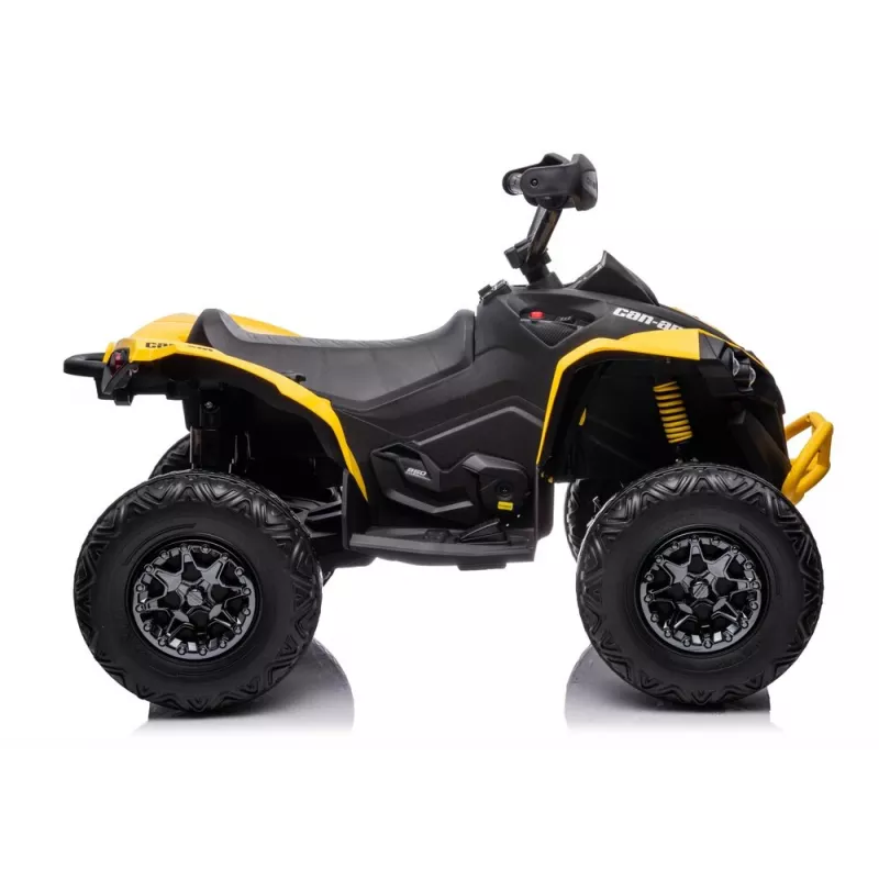 LEAN CARS DK-CA002 12V 10Ah 4x4 gele accuquad