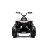 LEAN CARS Elektrische ride-on CAN-AM Renegate Wit