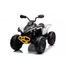 LEAN CARS Elektrische ride-on CAN-AM Renegate Wit