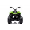 LEAN CARS Elektrische quad CAN-AM Renegate Groen