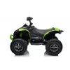 LEAN CARS Elektrische quad CAN-AM Renegate Groen