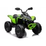 LEAN CARS Elektrische quad CAN-AM Renegate Groen