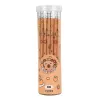 LEAN set met 30 HB grafietpotloden en capybara-gum in een tube