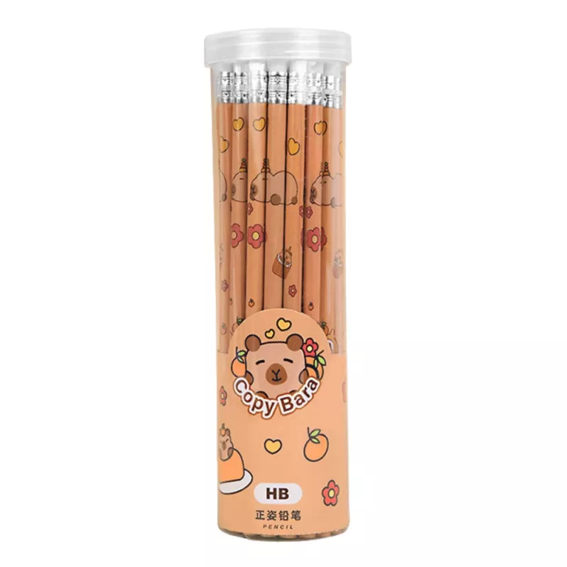 LEAN set met 30 HB grafietpotloden en capybara-gum in een tube