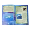 LEAN TOYS Ammoniet Haai Opgraving Educatieve Kit