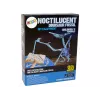 LEAN TOYS Archeologie opgravingsset dinosaurus skelet Pteranodon 3D-hologram