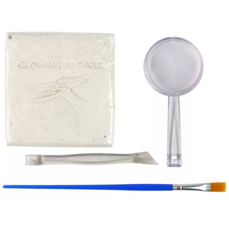 LEAN TOYS Archeologie opgravingsset dinosaurus skelet Pteranodon 3D-hologram