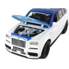 LEAN TOYS Auto R/C 1:20 wit en blauw op afstand bestuurd