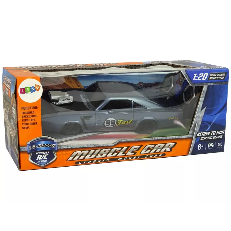 LEAN TOYS Auto R/C Sports sticker 1:20 grijs piloot