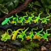 LEAN TOYS fluorescerende groene lichtgevende hagedis rubberen figuur 15cm