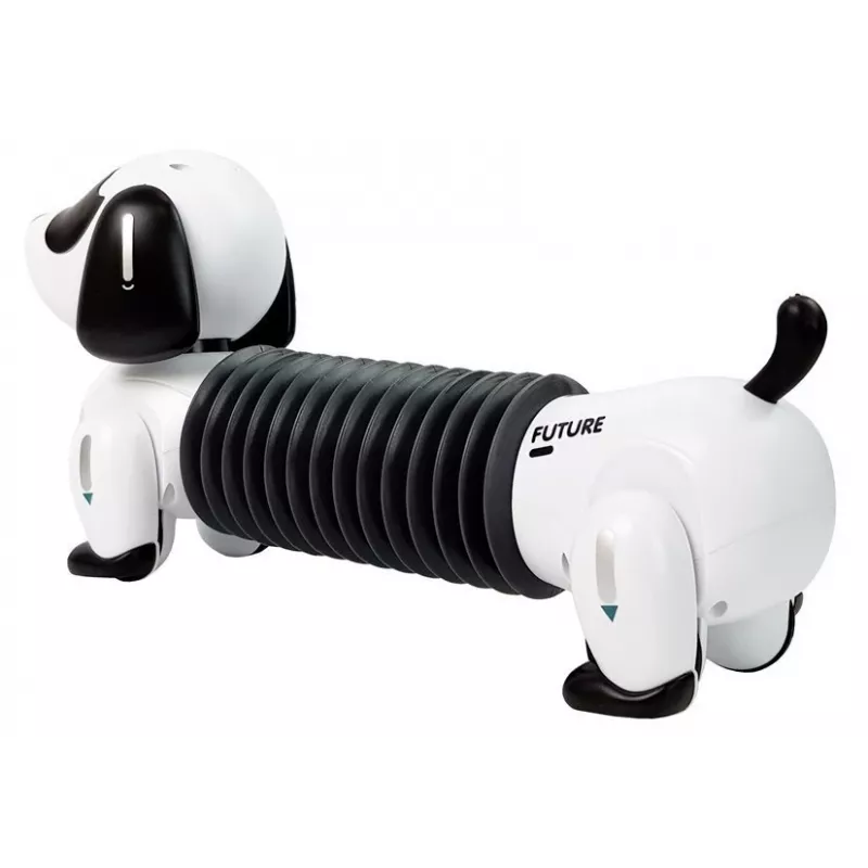 LEAN TOYS interactieve robot hond, op afstand bediend, muziek, geluid, afstandsbedieningsbal