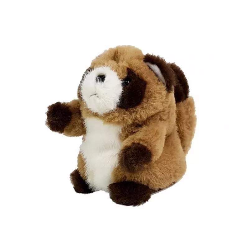 LEAN TOYS Interactieve pluchen wasbeer om na te spreken