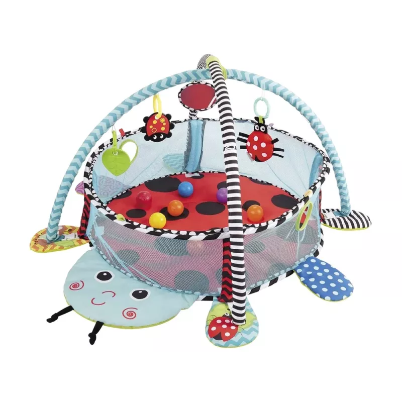 LEAN TOYS lieveheersbeestje educatieve mat box ballen voor baby