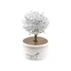 LEAN TOYS Magische Boom Kristal Groei Zilver Ervaringen