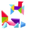LEAN TOYS magnetische tangram-blokken kleurrijke puzzelsticker-set 9 stuks